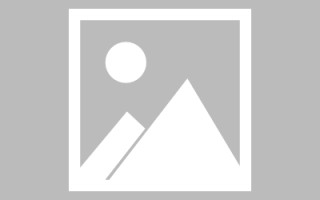 莱州龙江乐从网站建设（乐从和龙江）